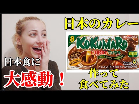 【テリちゃんねるの人生】【海外の反応】外国人が日本のカレー作って食したら感激した！