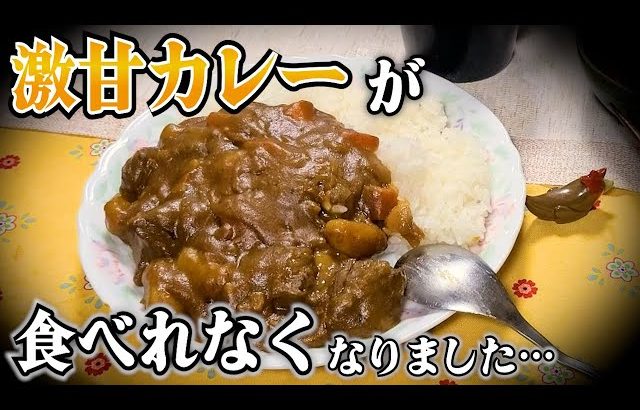 チロちゃん ばあちゃんお気に入りのはちみつが無くなったので暫く食べれない激甘カレー。【本篇】