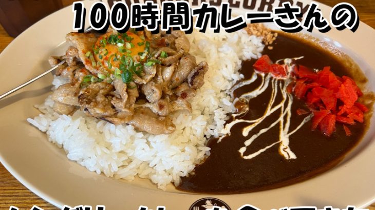 【カレー食べてきた】HUNGRY CURRY BY100時間カレー 神田店の『ハングリーカレー』を食べてきた！