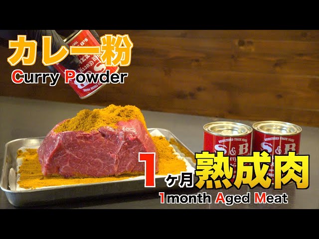【ホルモンしま田】カレー粉で1ヶ月熟成肉作ってみた Insane curry powder dry Age Experiment!!
